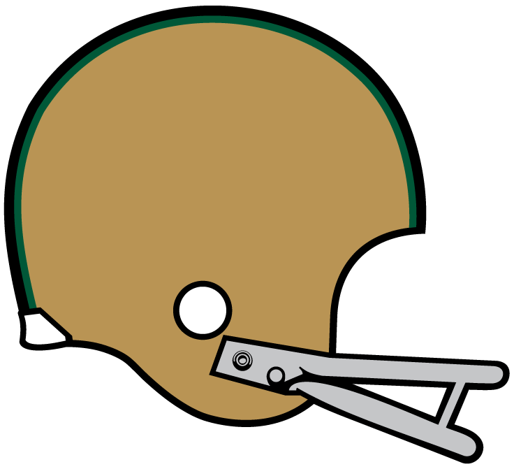Miami Hurricanes 1964-1968 Helmet Logo diy iron on heat transfer
